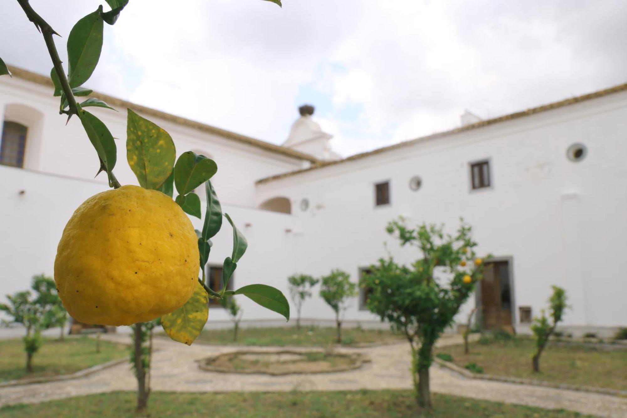 Convento Da Orada - Monsaraz Pensionat Eksteriør billede